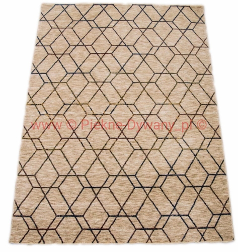 Dywan Palazzo 6958A ivory  beige (5).jpg