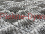 d7b4ced6649008e3485b261ca7c50f17fd6da8a4