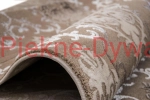 Dywan Dywany Dywan Elite 23282 beige (1).jpg