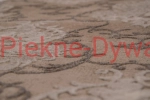 Dywan Dywany Dywan Elite 23282 beige (12).jpg