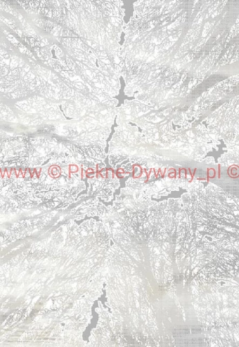 OLYMPOS 3508 L.grey Cream.jpg