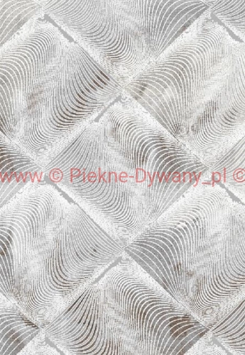 OLYMPOS 3535 Grey D.vizon.jpg