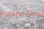 Dywan AP02C LIGHT GRAY FEYRUZ FFS (6).jpg