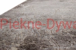 Dywan Elite 4355 BEIGE (14).jpg