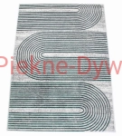 Dywan stylish 19  E4016 L.GREY  GREEN (8).jpg