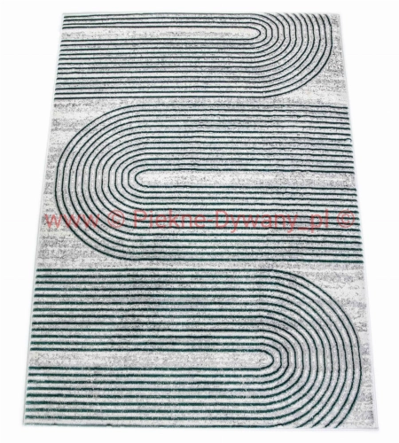 Dywan stylish 19  E4016 L.GREY  GREEN (8).jpg