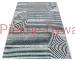 Dywan stylish 19  E4016 L.GREY  GREEN (4).jpg