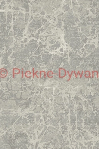 DYWAN DYWILAN RAW  6 7815