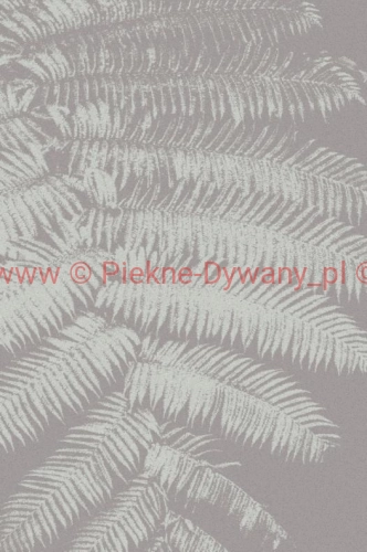 Dywan Agnella TEMPO FERN szary WEŁNA.jpg