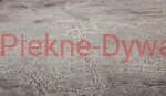 Dywan Elite 4355 BEIGE (16).jpg